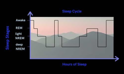 A graph titled "Sleep Cycle" with Hours of Sleep on the x-axis and Sleep Stages on the y axis. The graph shows how you go move through the different stages multiple times as you sleep. 