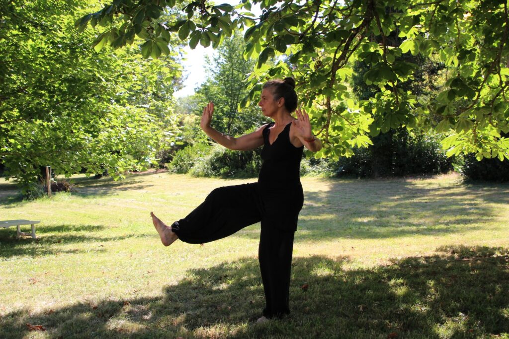 woman in black sleeveless dress standing under green tree during daytime practicing tai chi